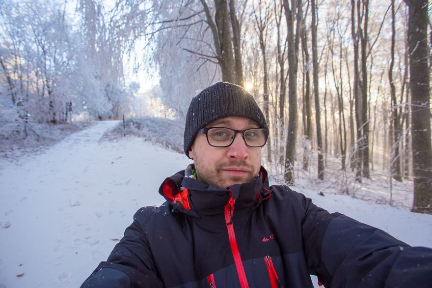 Frozen Forest On Christmas