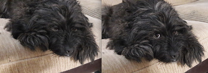 Before & After Being Called A Good Girl