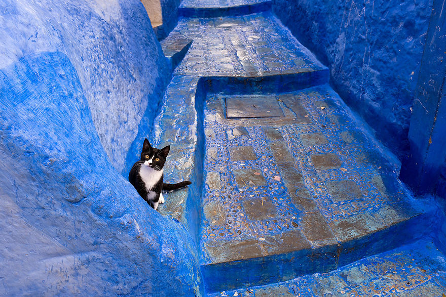 The Blue City: My Photos Taken In Chefchaouen Of Morocco