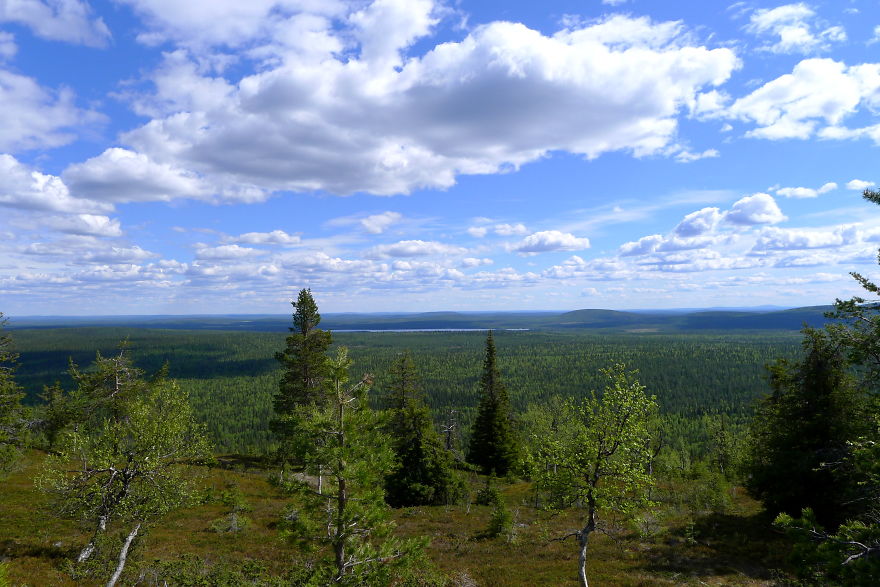The Silence Of Lapland - Lappish Spring Captured With An Old, Compact Camera
