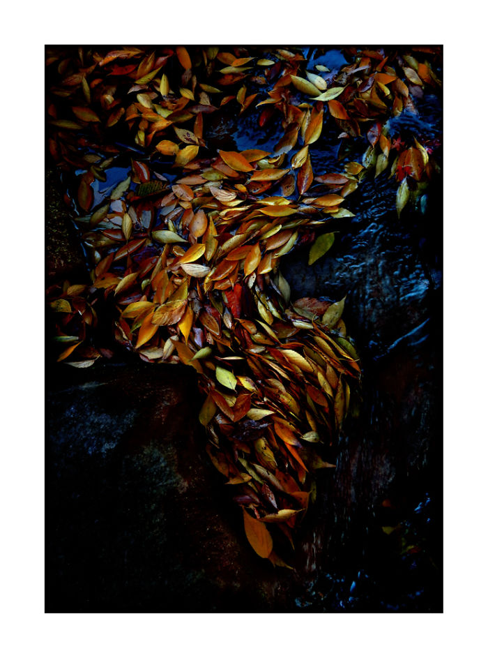 Four Views Of Autumn In Japan