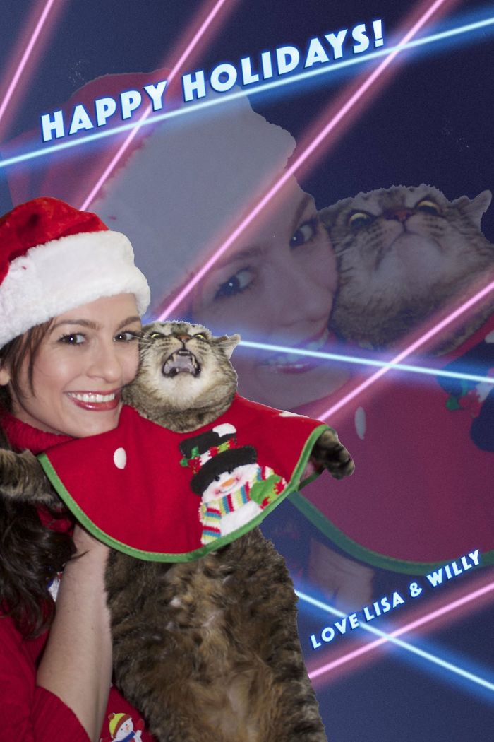 My Cat Can't Get Enough Of The Holidays