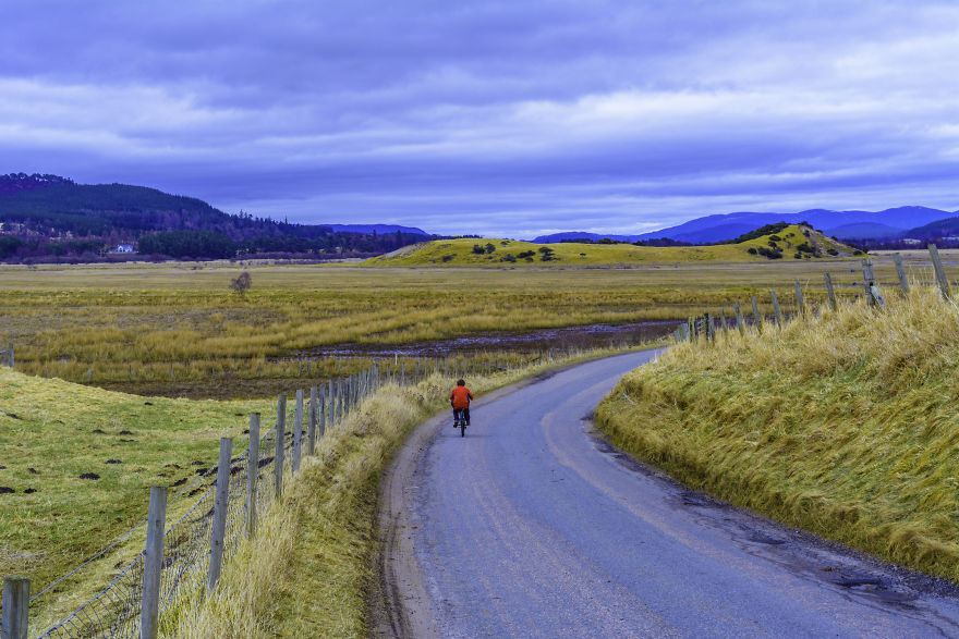 Losing Euros, Gaining Pounds Losing Euros, Gaining Pounds