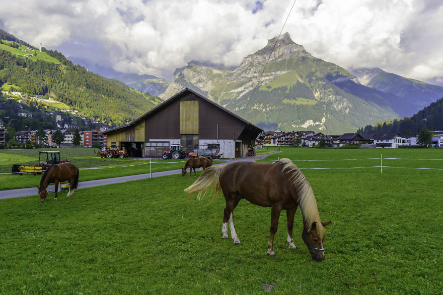 Losing Euros, Gaining Pounds Losing Euros, Gaining Pounds