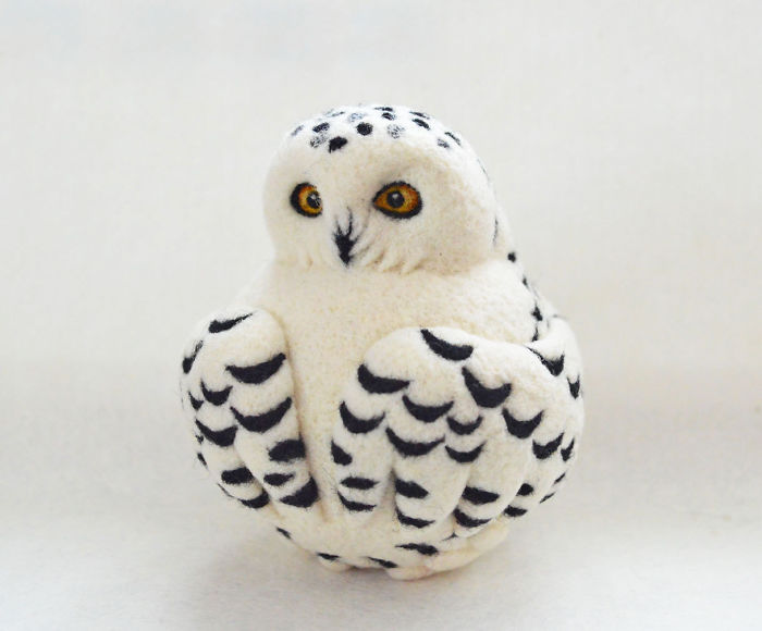 Snowy Owl