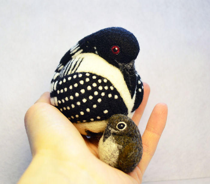 Common Loon With Chick