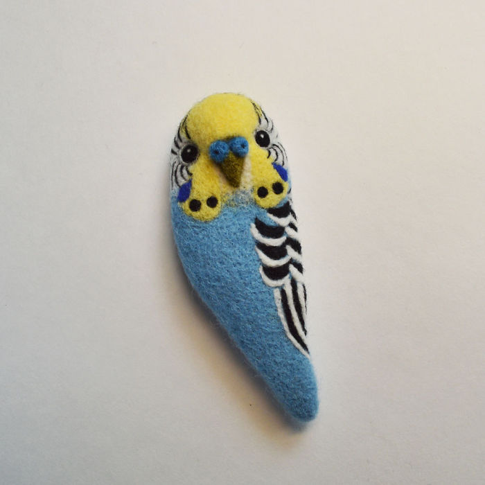 Yellow Faced Blue Budgerigar