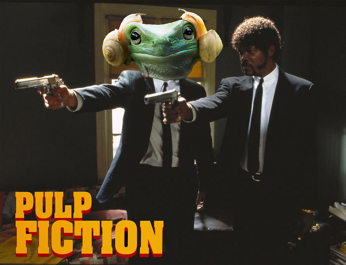 Frog Fiction