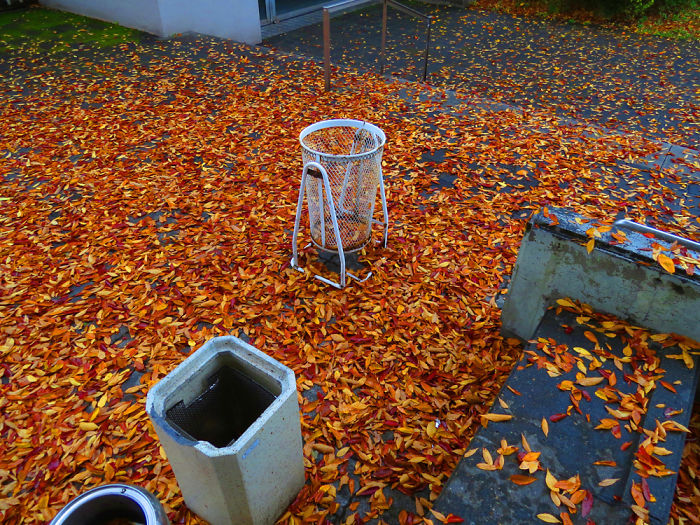 Four Views Of Autumn In Japan