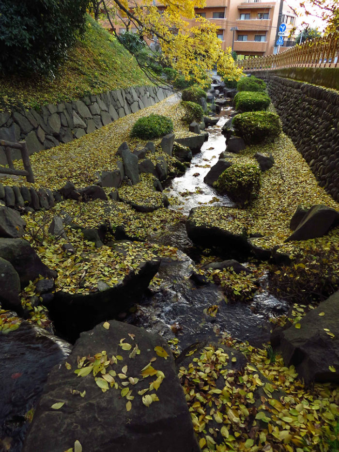Four Views Of Autumn In Japan