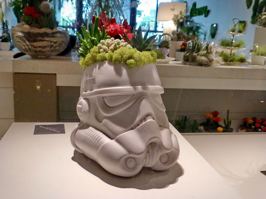 18 Weird Souvenirs I Found While Traveling Around The World That Are Not Suitable For Christmas / Hanukkah 18 Weird Souvenirs I Found While Traveling Around The World That Are Not Suitable For Christmas / Hanukkah