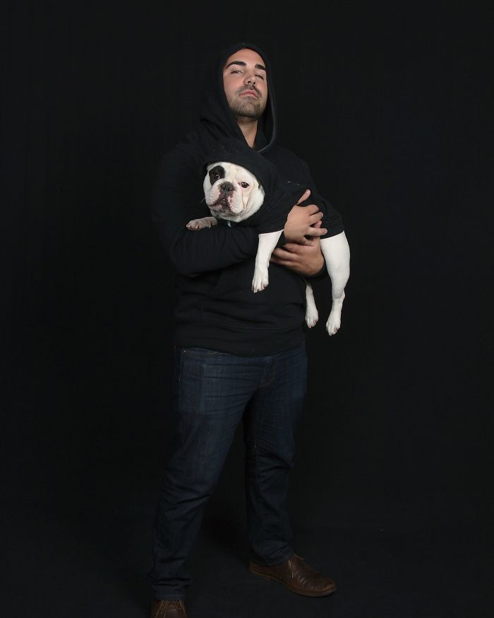 My Dog Looks Exactly Like The Bored Panda Logo