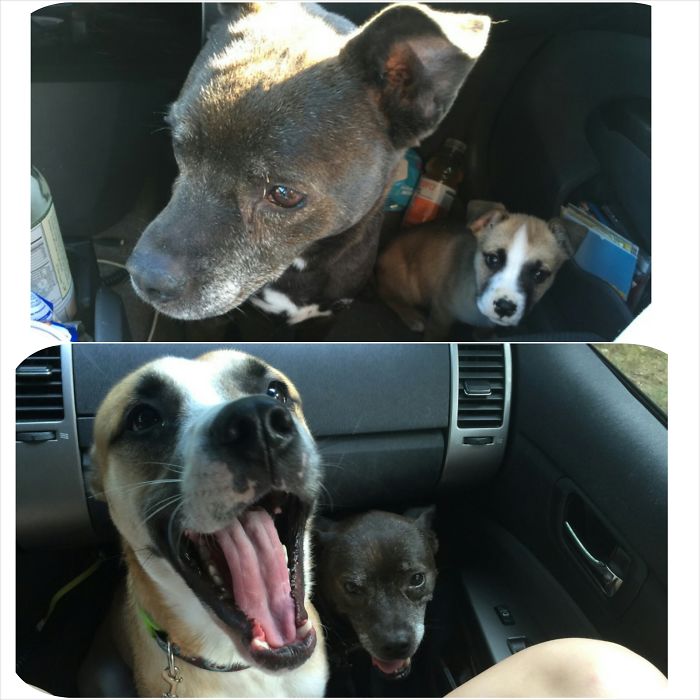 Best Friends From Then Til Now