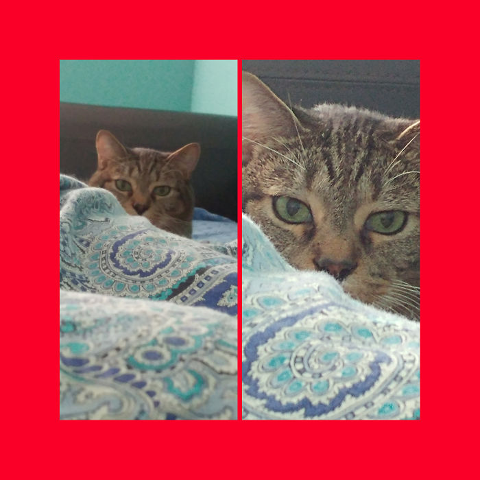 Before And After Calling Him A Good Boy