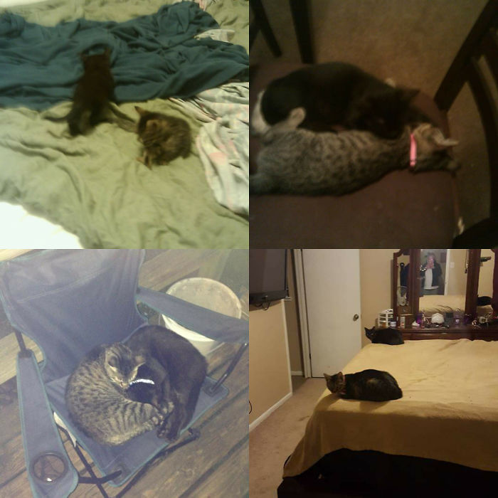 Brother & Sister Over 6 Yr Span