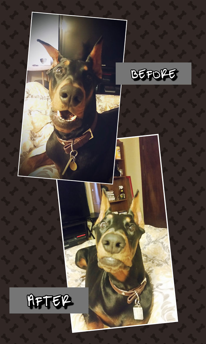 Turbo Before And After Good Boy