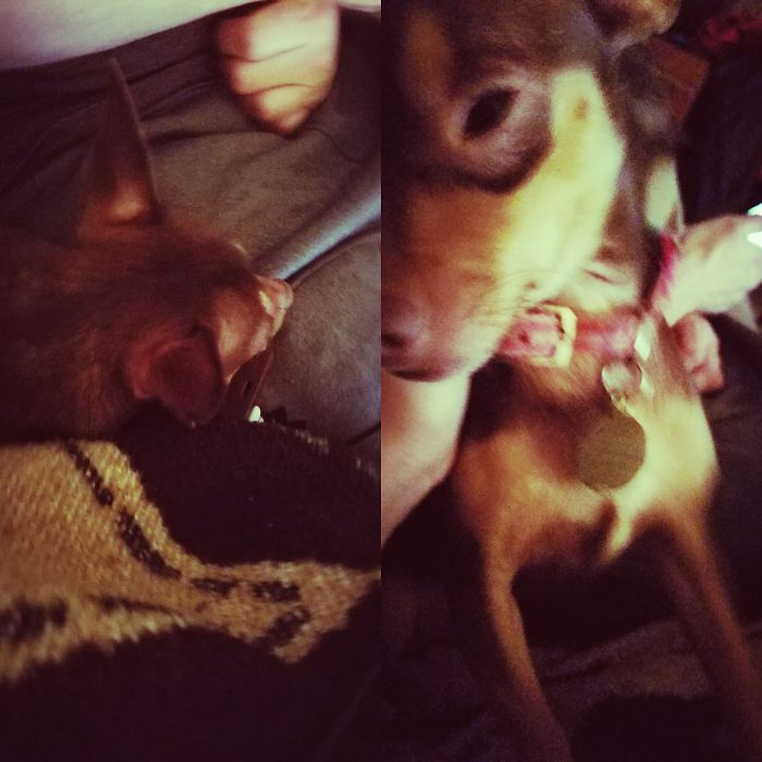 Ruby Is A Good Girl.