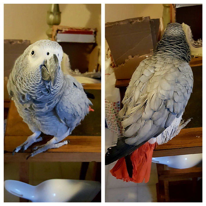 Before And After Being Told That She's A Good Girl... She Doesn't Care.