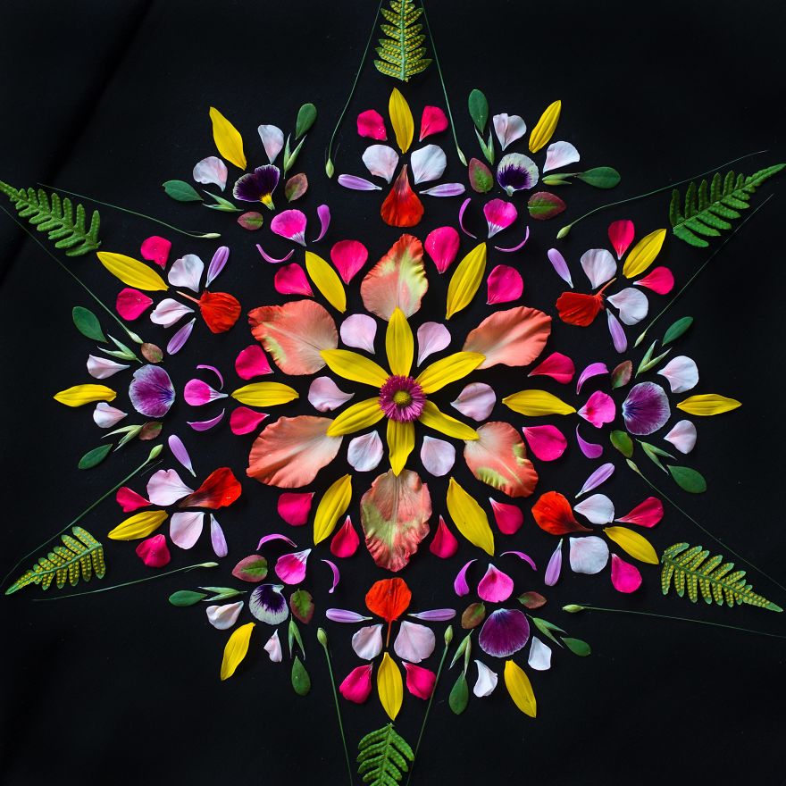 Reorganizing Little Things Found From Nearby Nature Turns Them Into Art