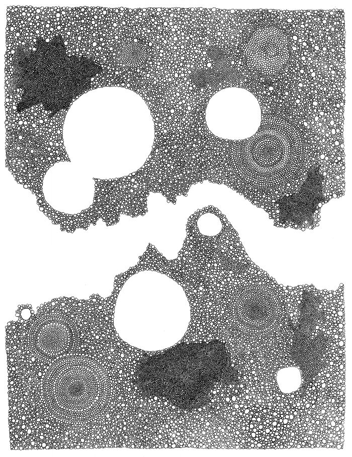 I Make Mini Drawings Using Hundreds Of Tiny Circles With A Pen