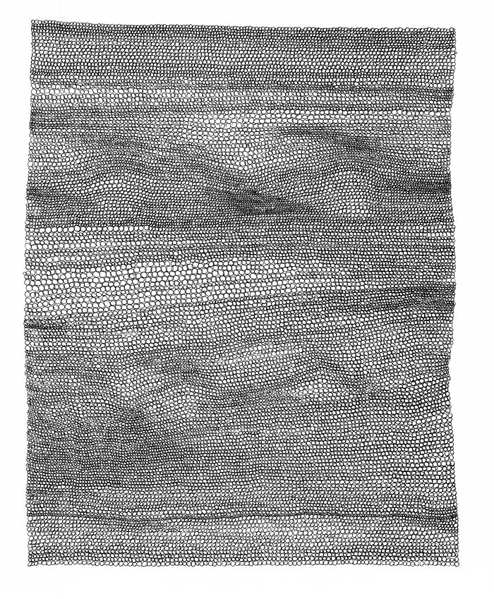 I Make Mini Drawings Using Hundreds Of Tiny Circles With A Pen