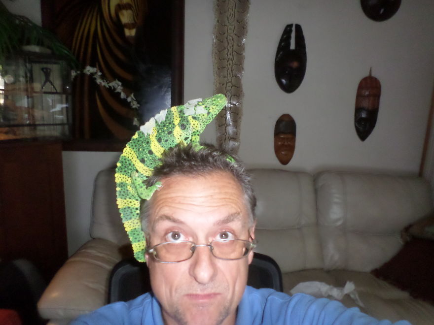 I Rescue Exotic Animal Species I Rescue Exotic Animal Species