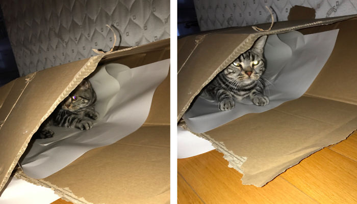 Before And After Called A Good Boy