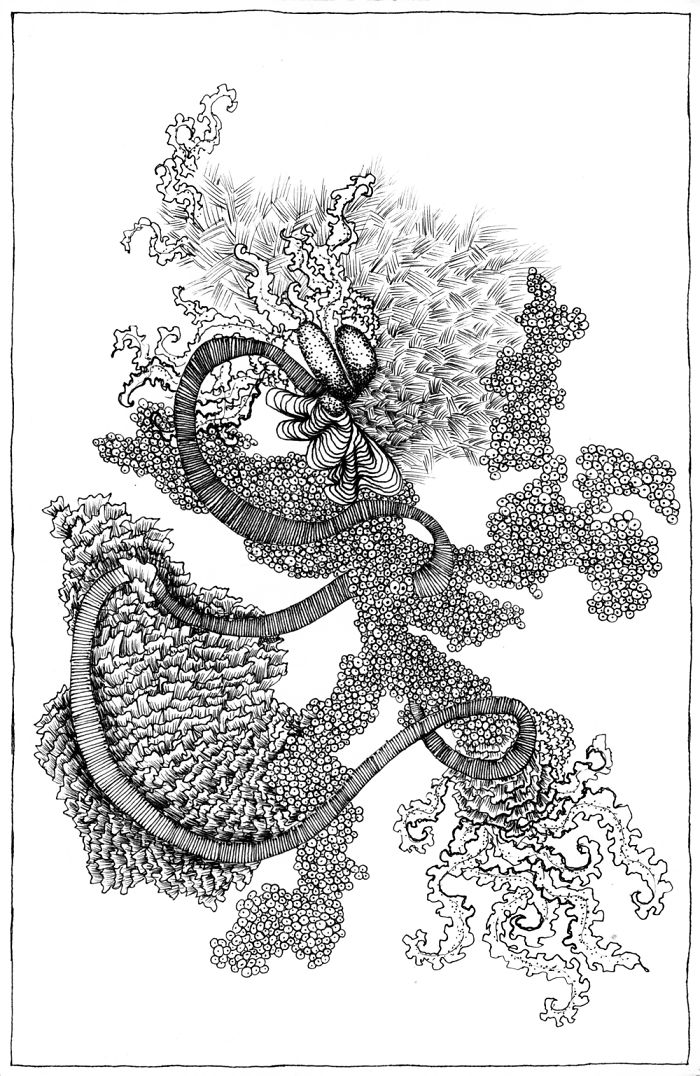 I Make Mini Drawings Using Hundreds Of Tiny Circles With A Pen