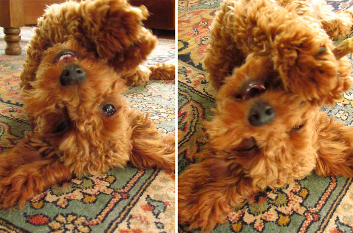 Simona After A "good Girl!"