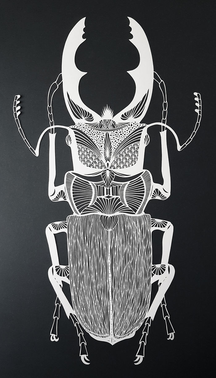 I Make My Artwork Using Only A Simple Sheet Of Paper