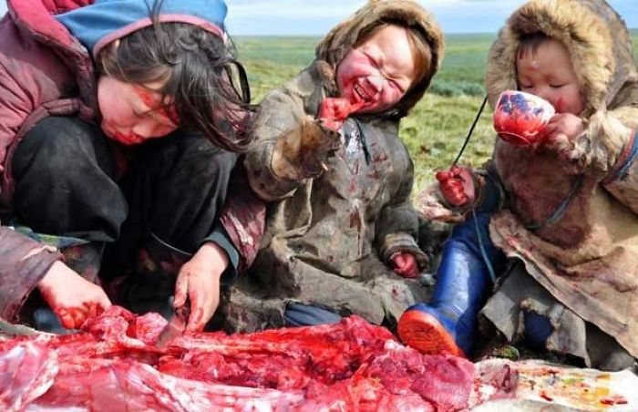 Strange, Bizarre And Some Downright Disgusting "Delicacies" People Chow Down On. Strange, Bizarre And Some Downright Disgusting "Delicacies" People Chow Down On.