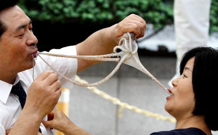 Strange, Bizarre And Some Downright Disgusting "Delicacies" People Chow Down On.