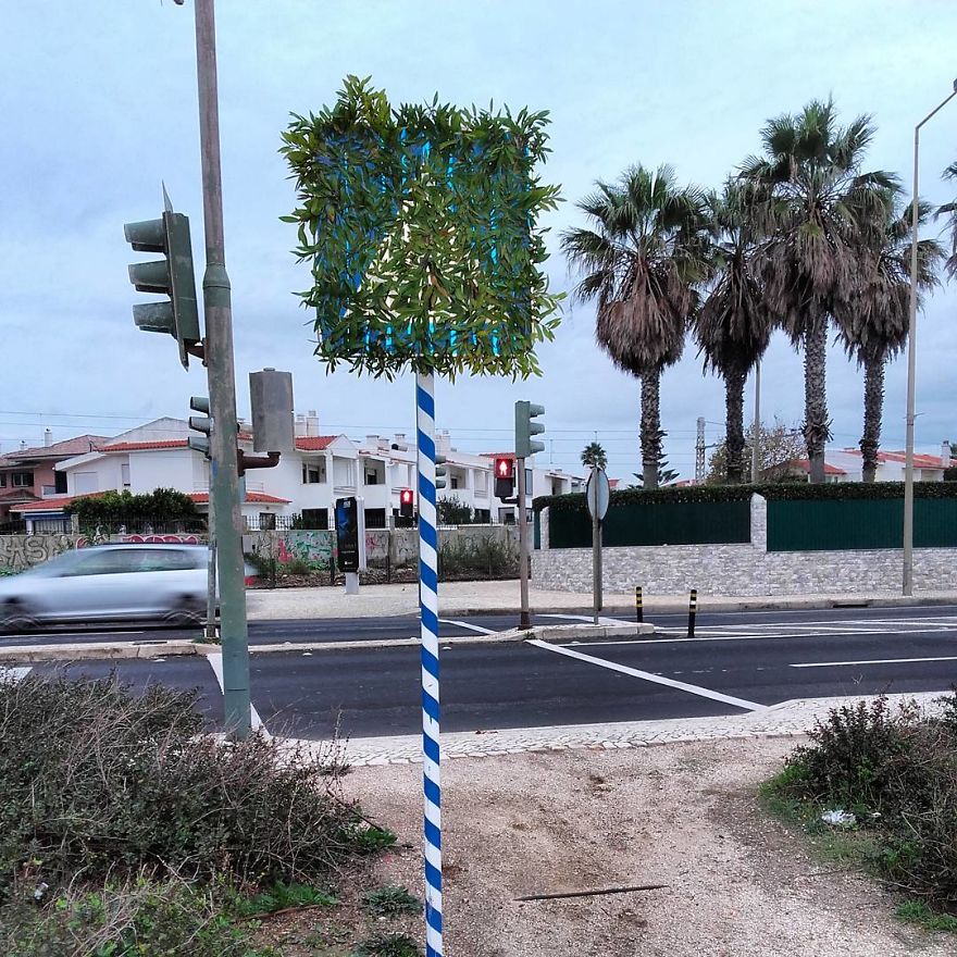 Street Artist Brings Nature Back To Cities