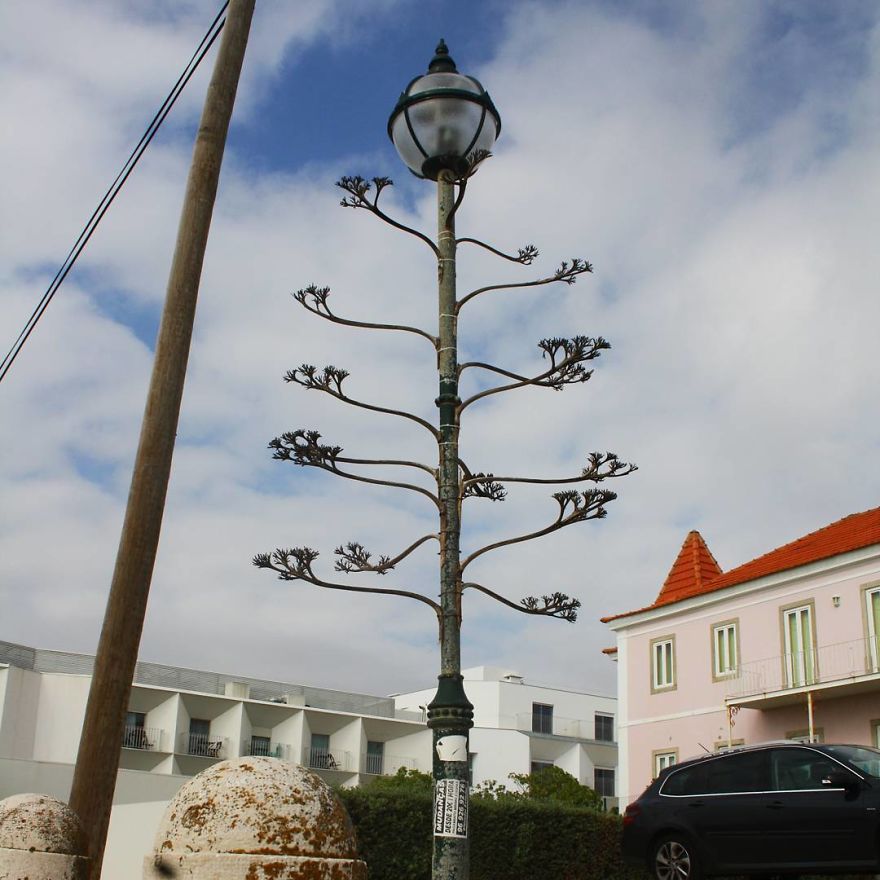 Street Artist Brings Nature Back To Cities