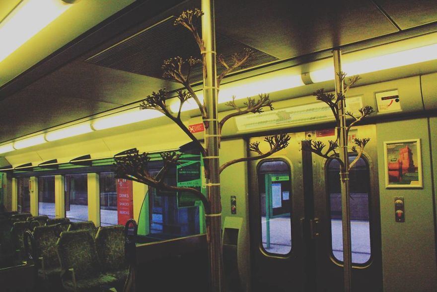 Street Artist Brings Nature Back To Cities