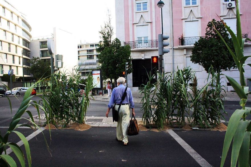 Street Artist Brings Nature Back To Cities