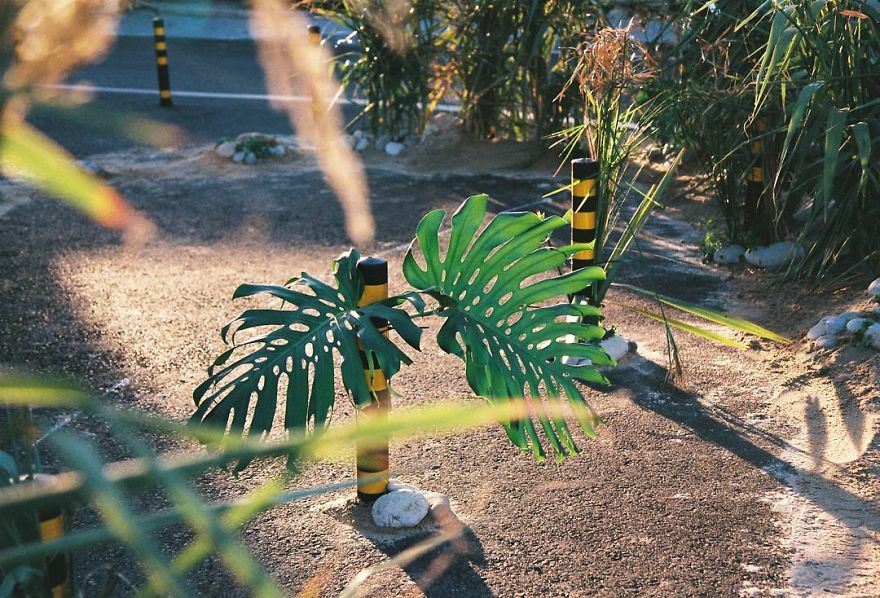 Street Artist Brings Nature Back To Cities