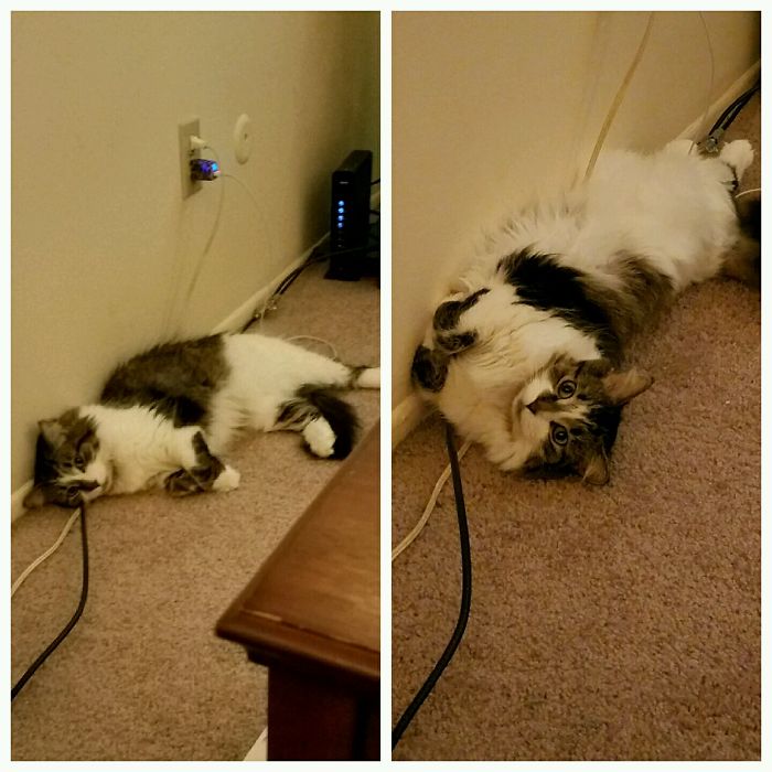 Before And After Being Called A Good Boy ❤