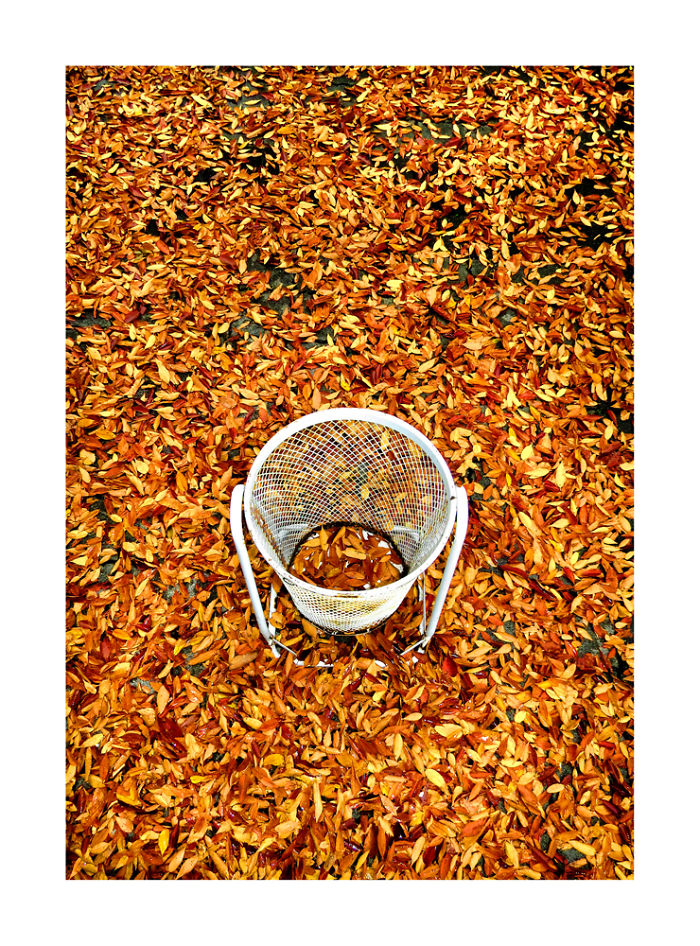 Four Views Of Autumn In Japan