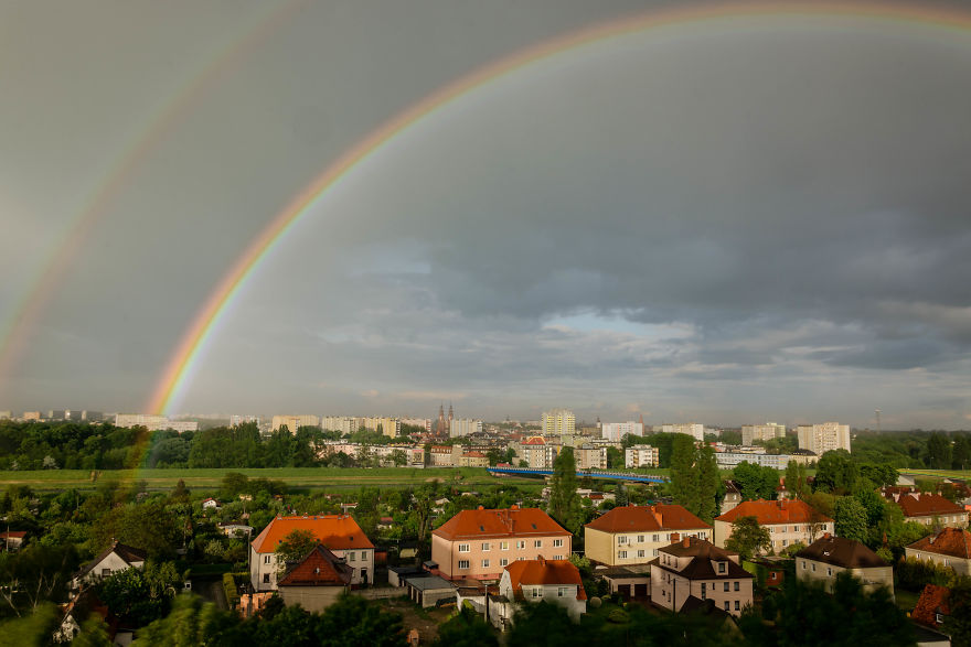 I Spent One Year Making Pictures From The Kitchen Window
