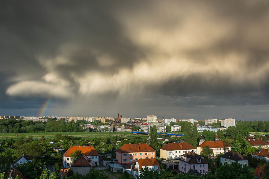 I Spent One Year Making Pictures From The Kitchen Window