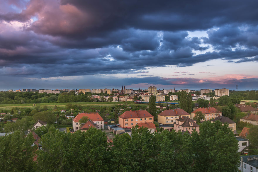 I Spent One Year Making Pictures From The Kitchen Window
