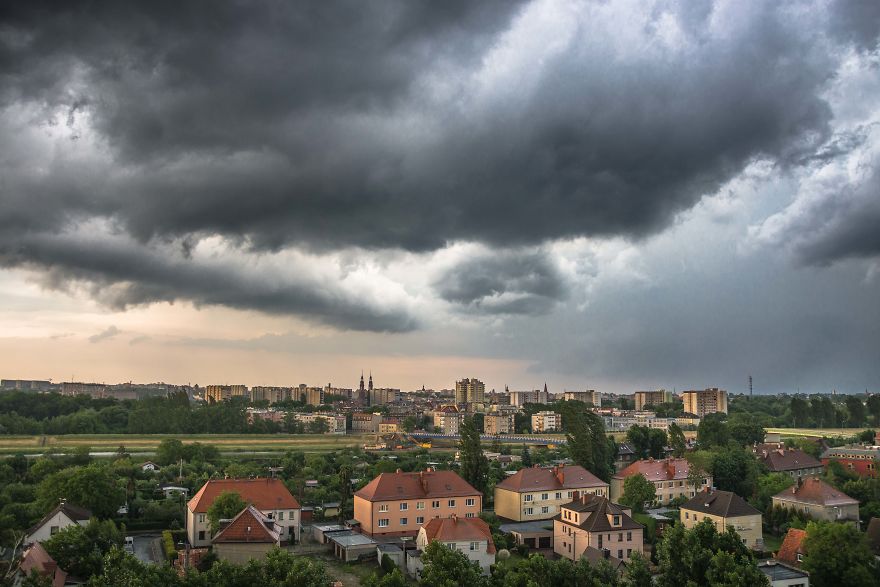 I Spent One Year Making Pictures From The Kitchen Window