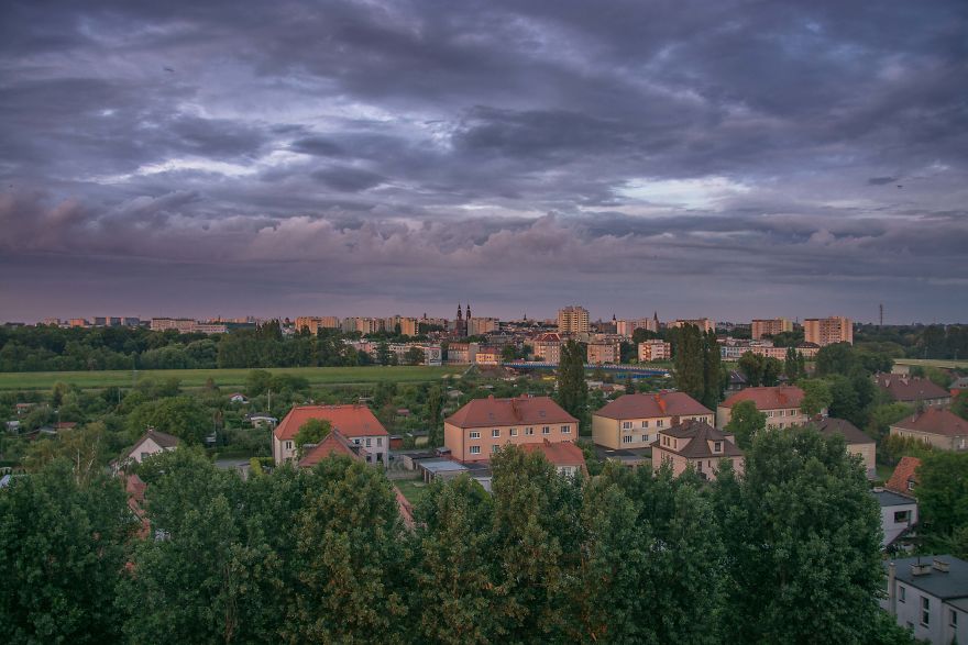 I Spent One Year Making Pictures From The Kitchen Window