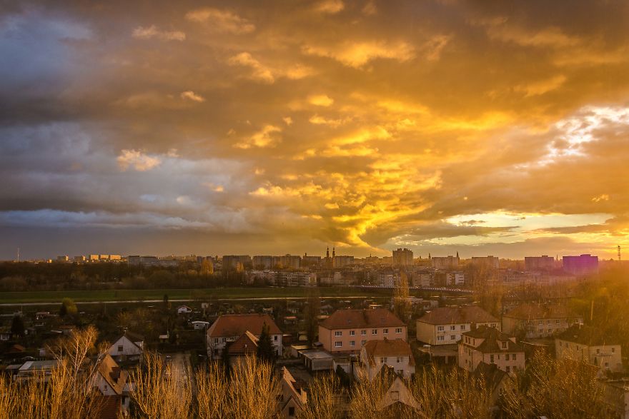 I Spent One Year Making Pictures From The Kitchen Window