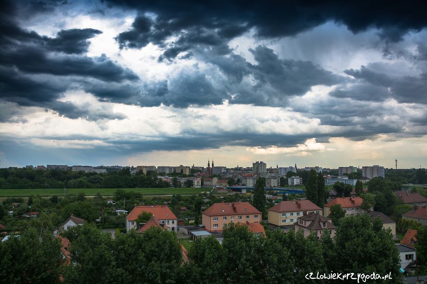 I Spent One Year Making Pictures From The Kitchen Window