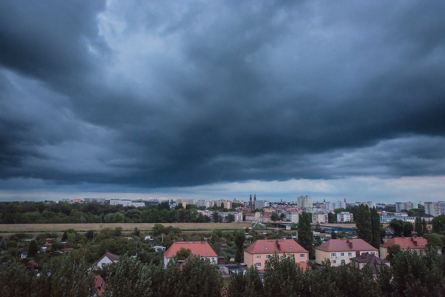 I Spent One Year Making Pictures From The Kitchen Window