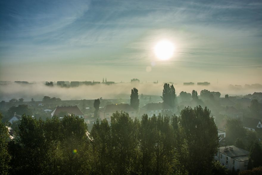 I Spent One Year Making Pictures From The Kitchen Window