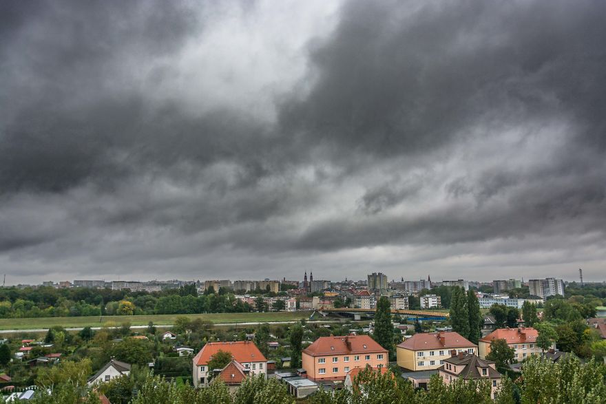 I Spent One Year Making Pictures From The Kitchen Window