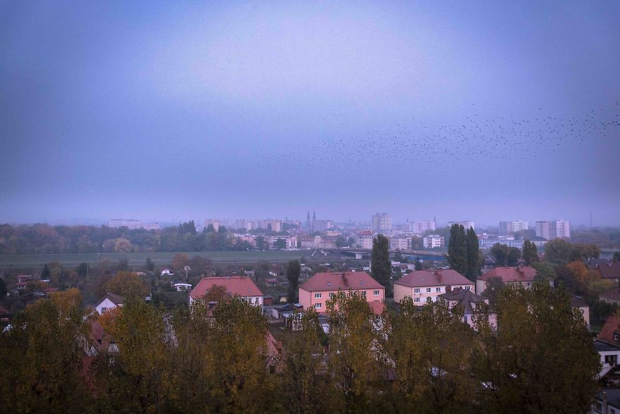 I Spent One Year Making Pictures From The Kitchen Window